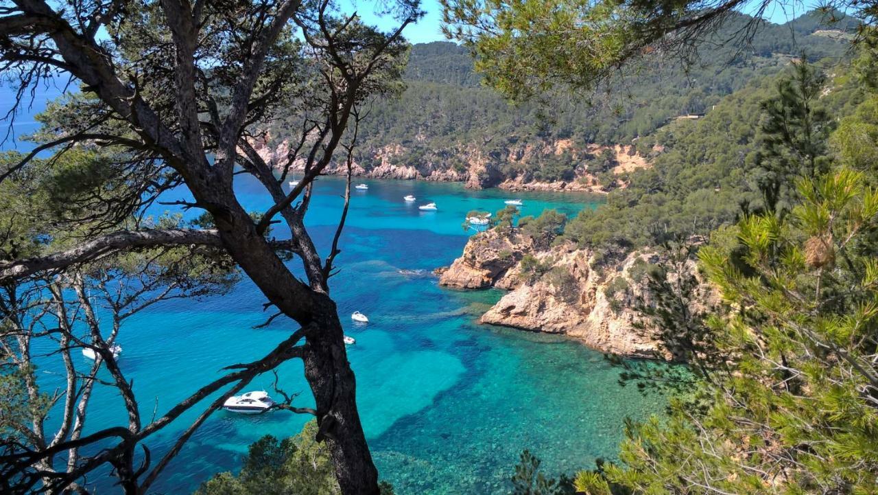 Bandol Nature Et Loisirs: Parking/ Piscine Exteriör bild